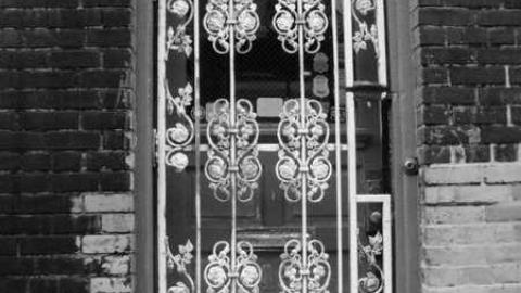 Variety In Buffalo photo 3