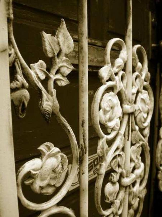 Variety In Buffalo photo 5