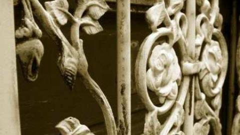 Variety In Buffalo photo 5