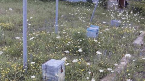 August 11th - Gas-Station36.jpg