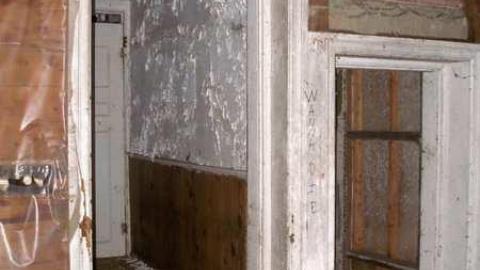 A Little Respect - P7272451.jpg