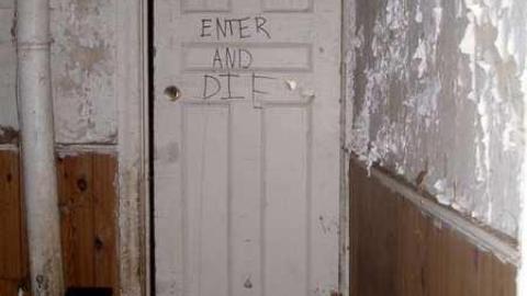 A Little Respect - P7272446.jpg