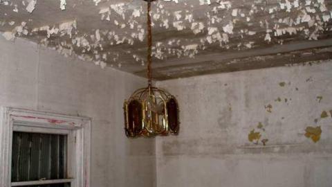 A Little Respect - P7272455.jpg