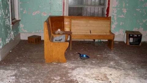 A Little Respect - P7272456.jpg