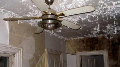 A Little Respect - P7272458.jpg