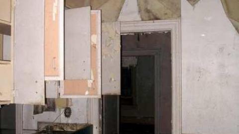 A Little Respect - P7272462.jpg