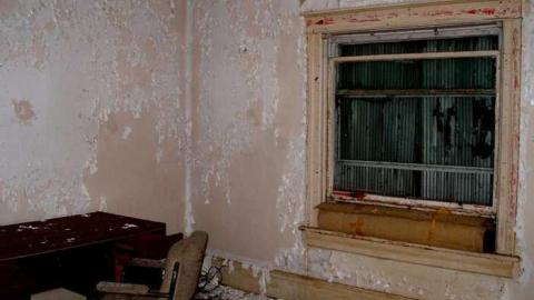 A Little Respect - P7272466.jpg