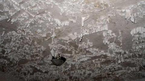 A Little Respect - P7272468.jpg