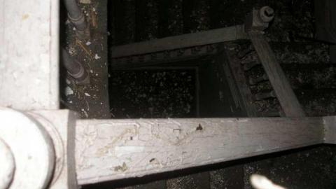 A Little Respect - P7272471.jpg