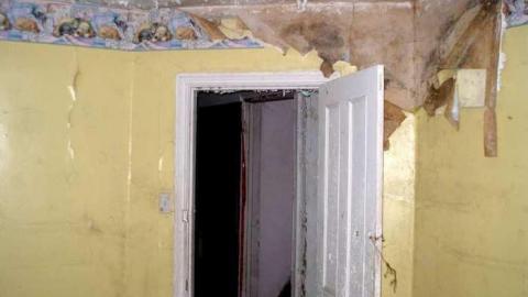 A Little Respect - P7272472.jpg