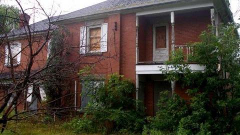 A Little Respect - P7272483.jpg