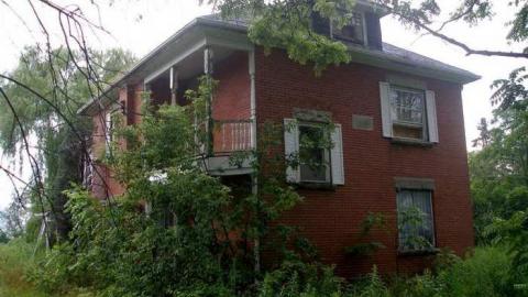 A Little Respect - P7272485.jpg