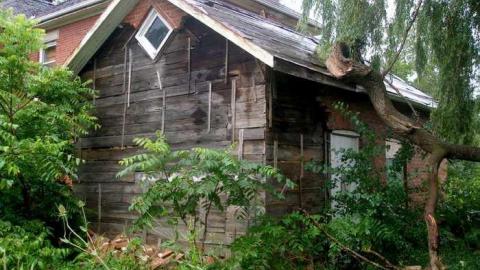 A Little Respect - P7272492.jpg