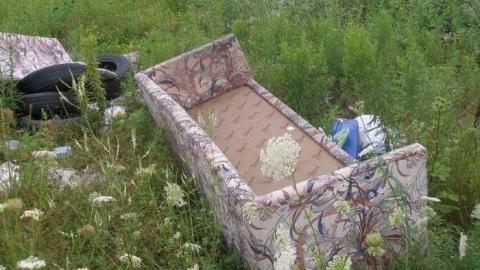 A Little Respect - P7272498.jpg