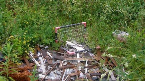 A Little Respect - P7272499.jpg