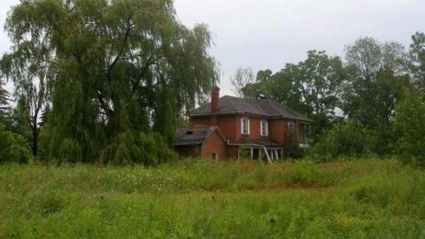 A Little Respect - P7272501.jpg