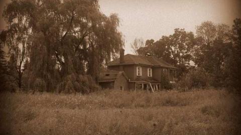 A Little Respect - P7272501Sep.jpg