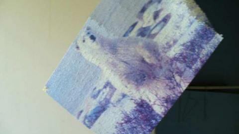 Lakeridge - Lakeridge-Grey3.jpg