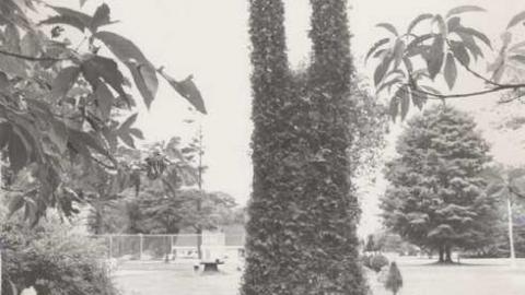 Cedar Croft Motor Court photo 2