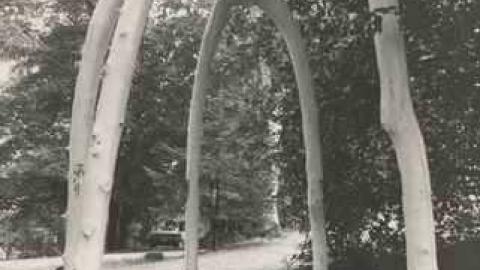 Cedar Croft Motor Court photo 4