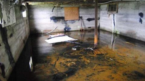 Breezy Bungalow photo 5