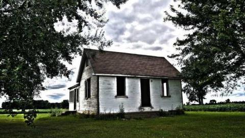 Breezy Bungalow photo 3