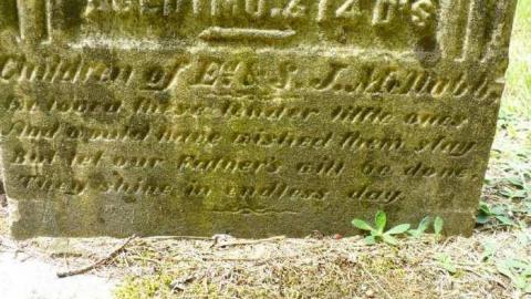 Sadowa Pioneers - Sadowa-Pioneer-Cemetery4.jpg