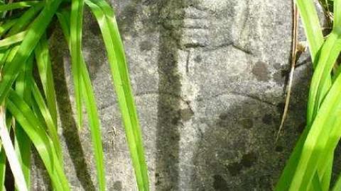 Sadowa Pioneers - Sadowa-Pioneer-Cemetery6.jpg