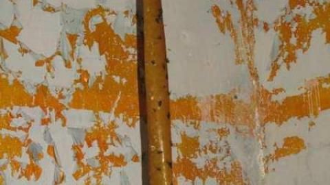 Elvis & The Piano House - IMG_6319.jpg