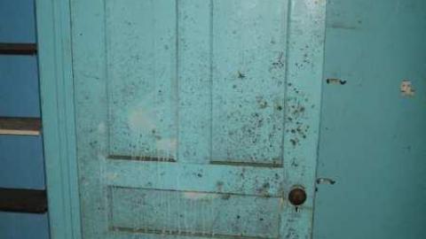 Elvis & The Piano House - IMG_6295.jpg