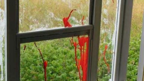 Elvis & The Piano House - IMG_6305.jpg