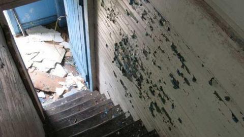 Elvis & The Piano House - IMG_6286.jpg