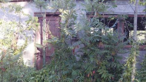 August 15th 2013 - Yarker-Storage-Warehouse5.jpg