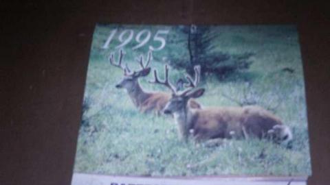 August 15th 2013 - Yarker-Storage-Warehouse17.jpg