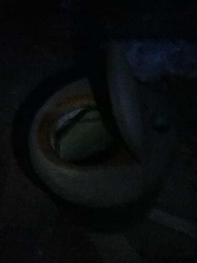 Three Barns - Stone Mills, Ontario