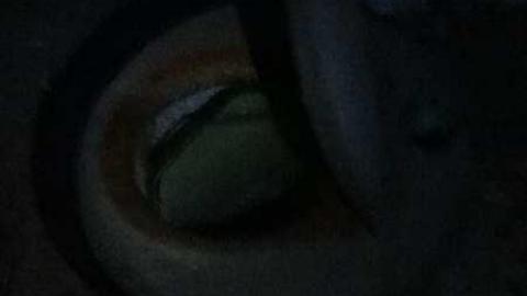 August 15th 2013 - Three-Barns16.jpg