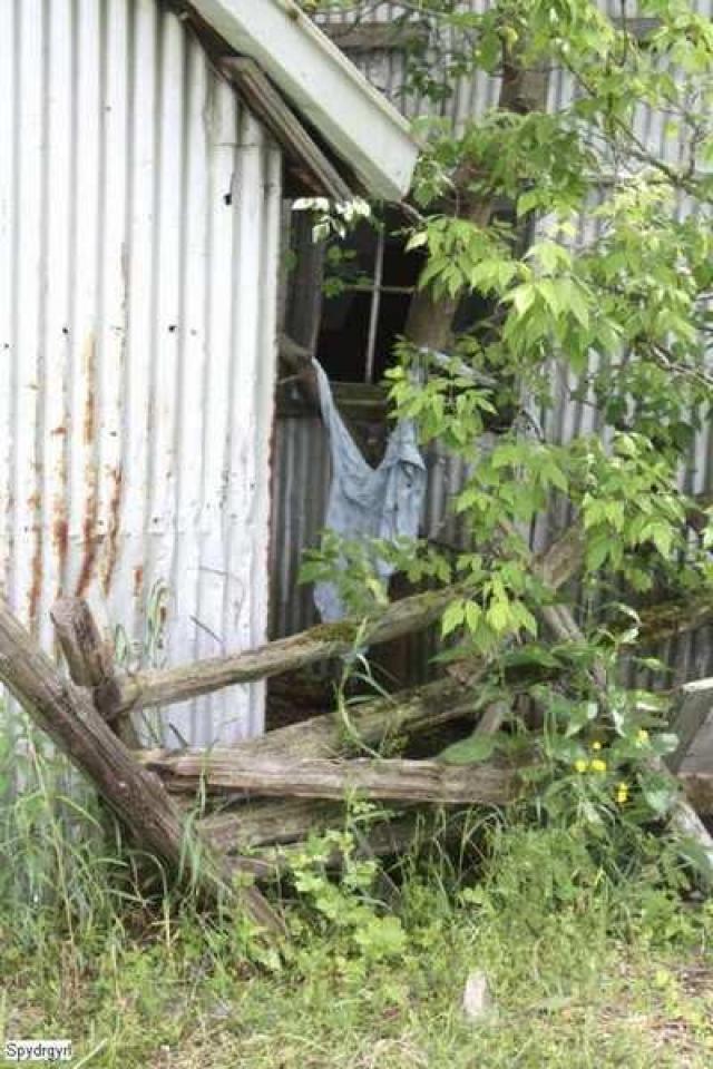 Edward Cole House of Chubtown photo 4