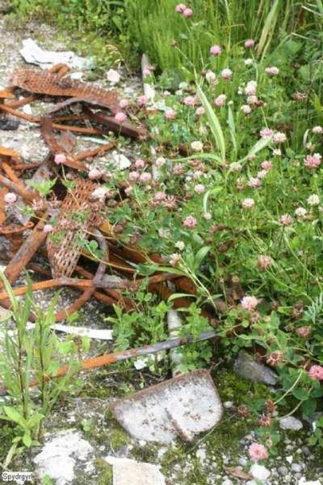 Edward Cole House of Chubtown photo 3