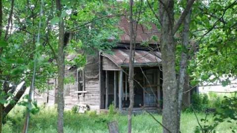 Photo from Horncastle remains