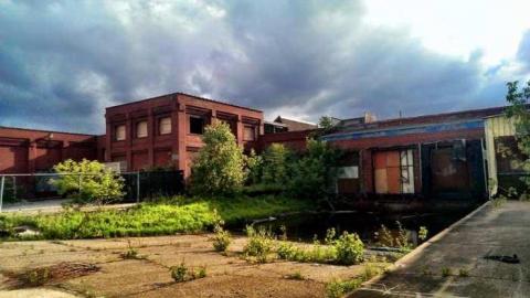 trensept - 295653_10151624404438094_103806106_n.jpg