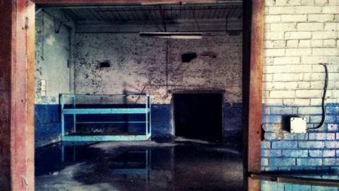 trensept - 375735_10151624408208094_1532292247_n.jpg