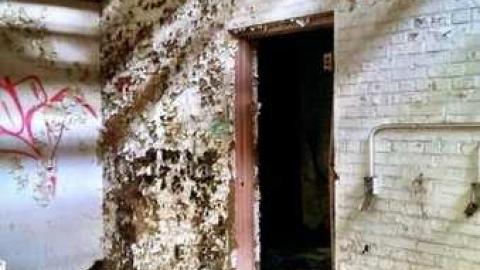 trensept - 971078_10151624405988094_306425191_n.jpg