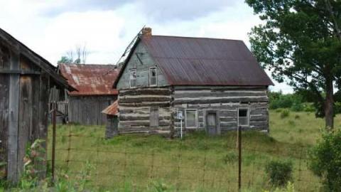 thumper21's cover photo