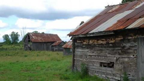 Photo from thumper21's