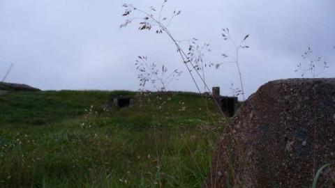 Cape Spear - Cape-Spear-Guns14.jpg