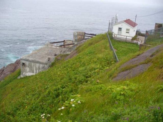 Cape Spear Guns photo 5