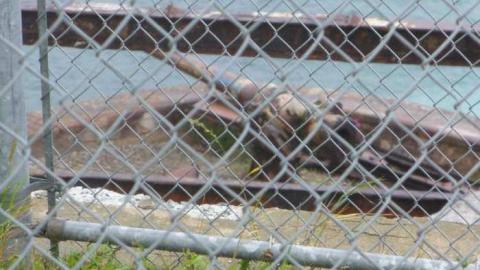 Cape Spear - Cape-Spear-Guns25.jpg