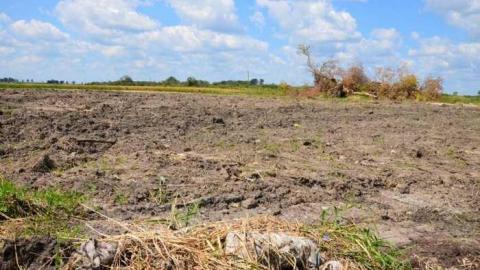 Demolished - Delightful-And-Revolting15.jpg