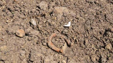 Demolished - Delightful-And-Revolting14.jpg