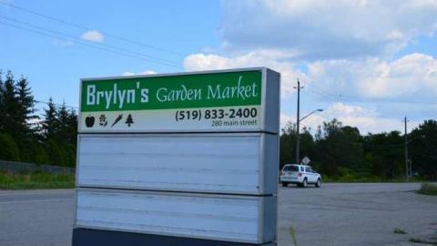 Saucy Brylyn - Saucy-Brylyn2.jpg